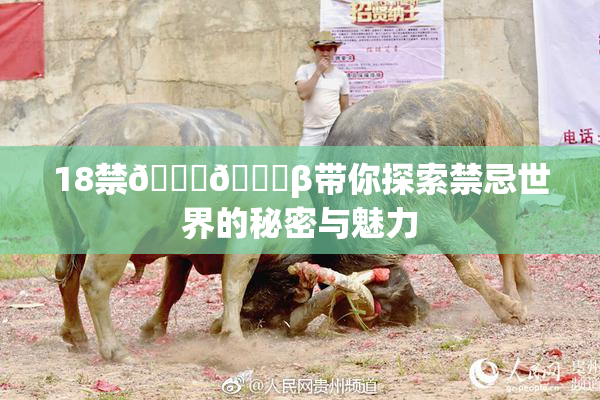 18禁🍆🍑β带你探索禁忌世界的秘密与魅力