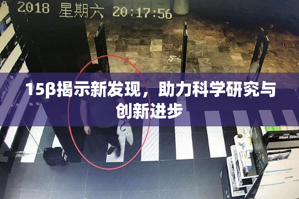 15β揭示新发现，助力科学研究与创新进步