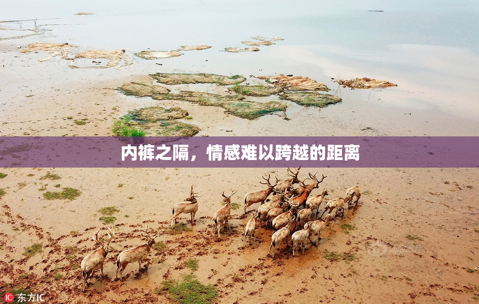 内裤之隔，情感难以跨越的距离