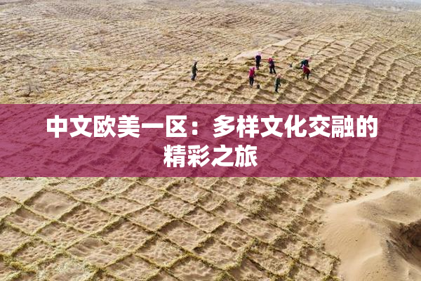 中文欧美一区：多样文化交融的精彩之旅
