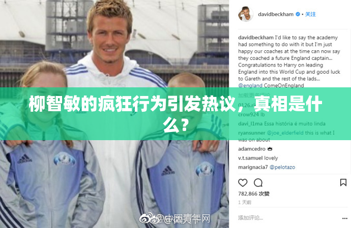 柳智敏的疯狂行为引发热议，真相是什么？