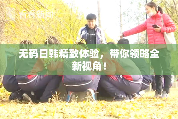 无码日韩精致体验，带你领略全新视角！