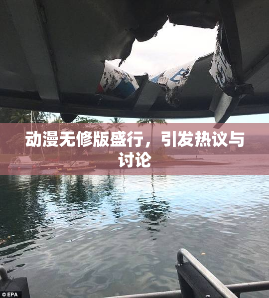 动漫无修版盛行，引发热议与讨论