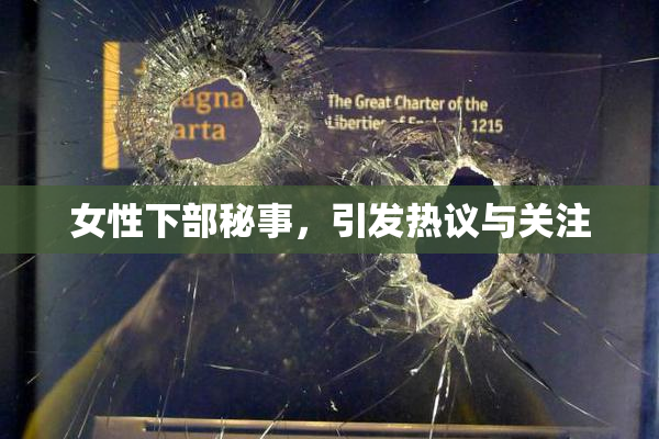 女性下部秘事，引发热议与关注