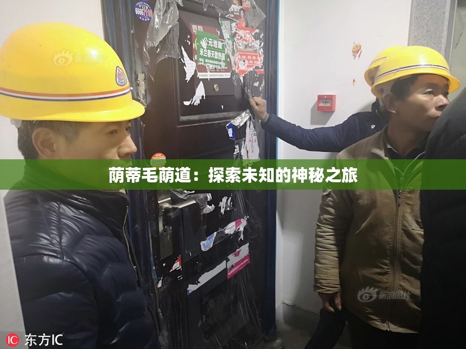 荫蒂毛荫道：探索未知的神秘之旅