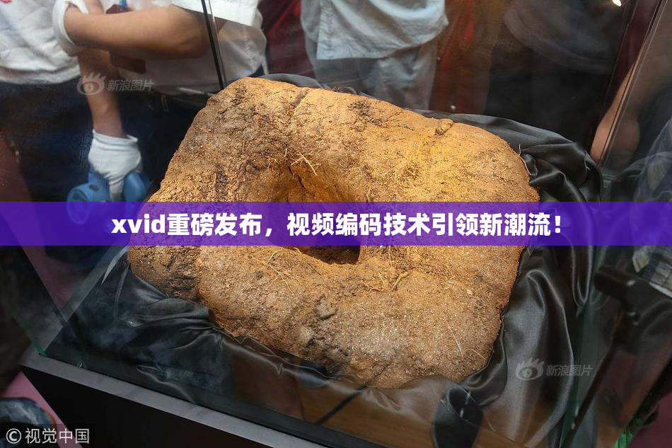 xvid重磅发布，视频编码技术引领新潮流！
