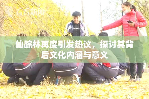 仙踪林再度引发热议，探讨其背后文化内涵与意义