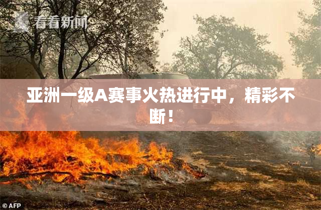 亚洲一级A赛事火热进行中，精彩不断！