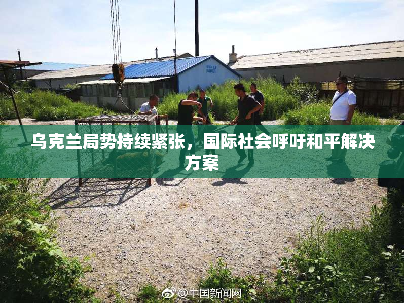 乌克兰局势持续紧张，国际社会呼吁和平解决方案