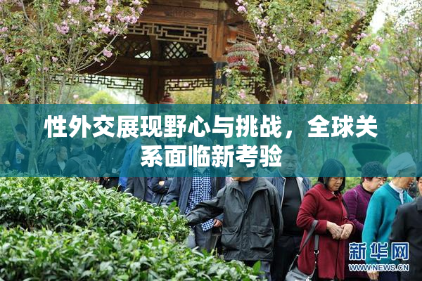 性外交展现野心与挑战，全球关系面临新考验