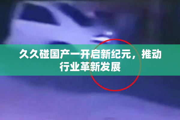 久久碰国产一开启新纪元，推动行业革新发展