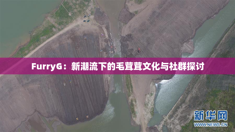 FurryG：新潮流下的毛茸茸文化与社群探讨