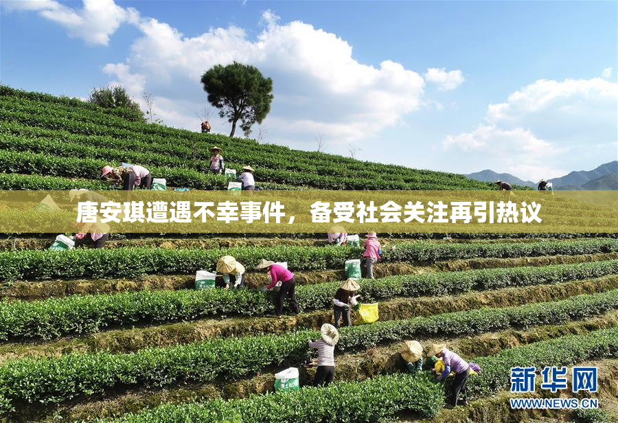 唐安琪遭遇不幸事件，备受社会关注再引热议