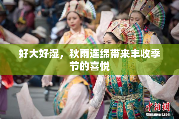 好大好湿，秋雨连绵带来丰收季节的喜悦