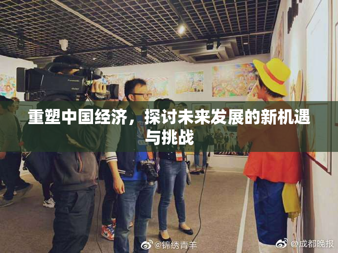 重塑中国经济，探讨未来发展的新机遇与挑战