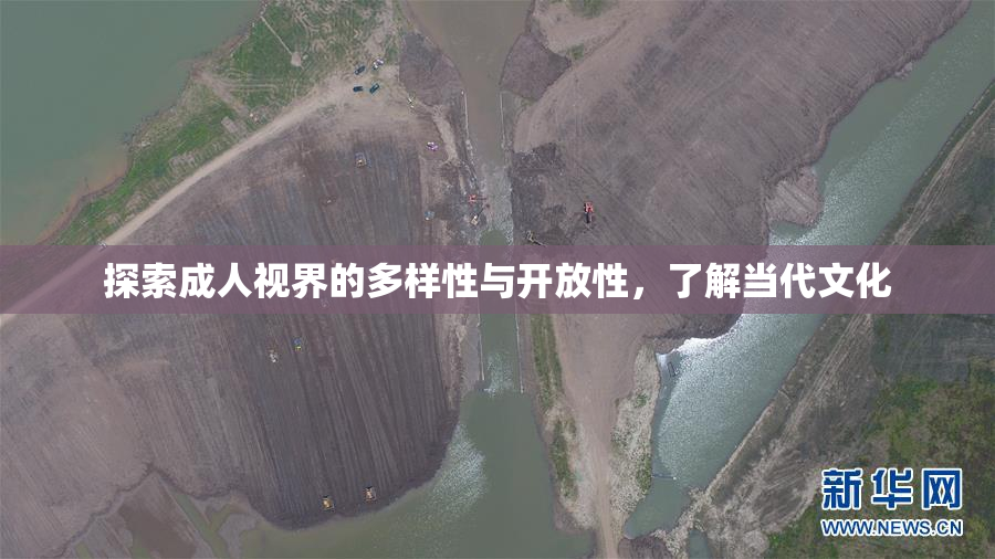 探索成人视界的多样性与开放性，了解当代文化