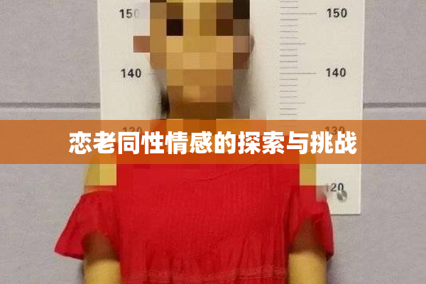 恋老同性情感的探索与挑战