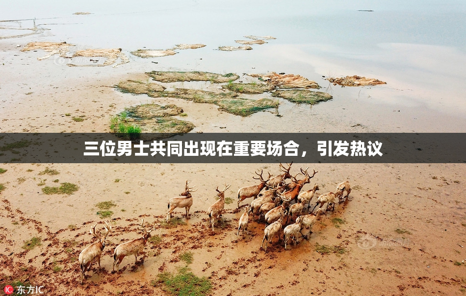 三位男士共同出现在重要场合，引发热议