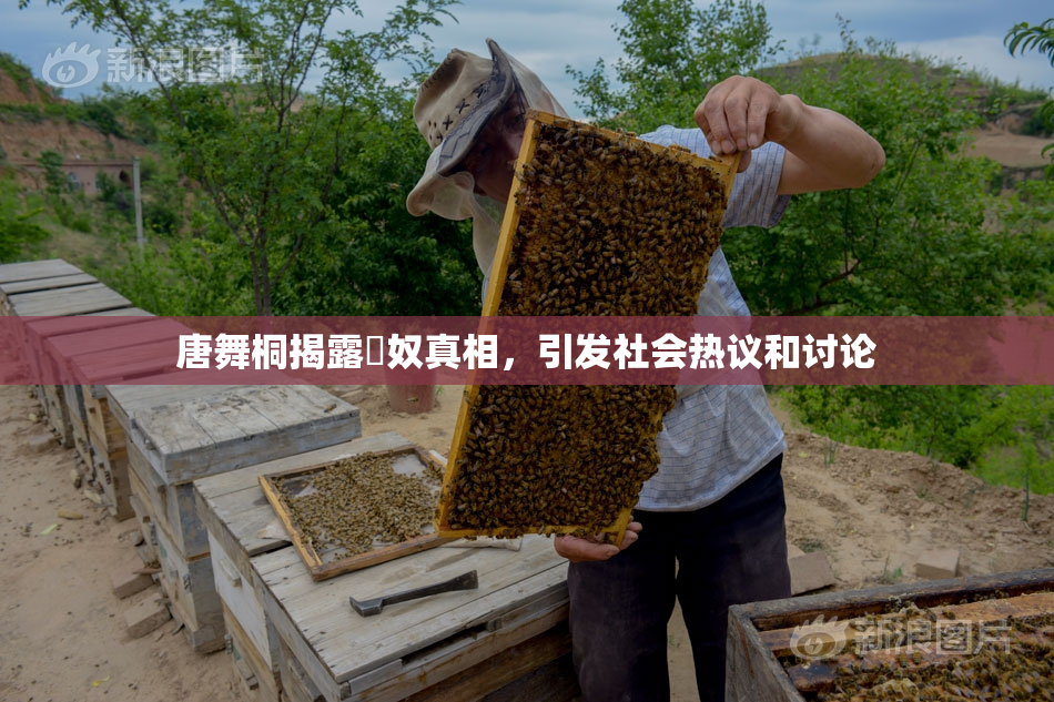 唐舞桐揭露婬奴真相，引发社会热议和讨论