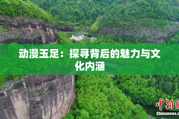 动漫玉足：探寻背后的魅力与文化内涵