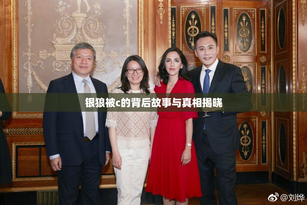 银狼被c的背后故事与真相揭晓