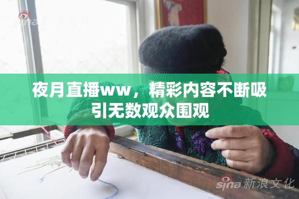 夜月直播ww，精彩内容不断吸引无数观众围观