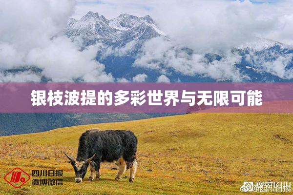 银枝波提的多彩世界与无限可能