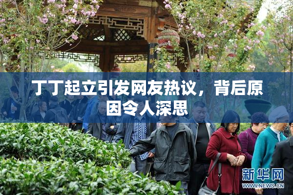 丁丁起立引发网友热议，背后原因令人深思