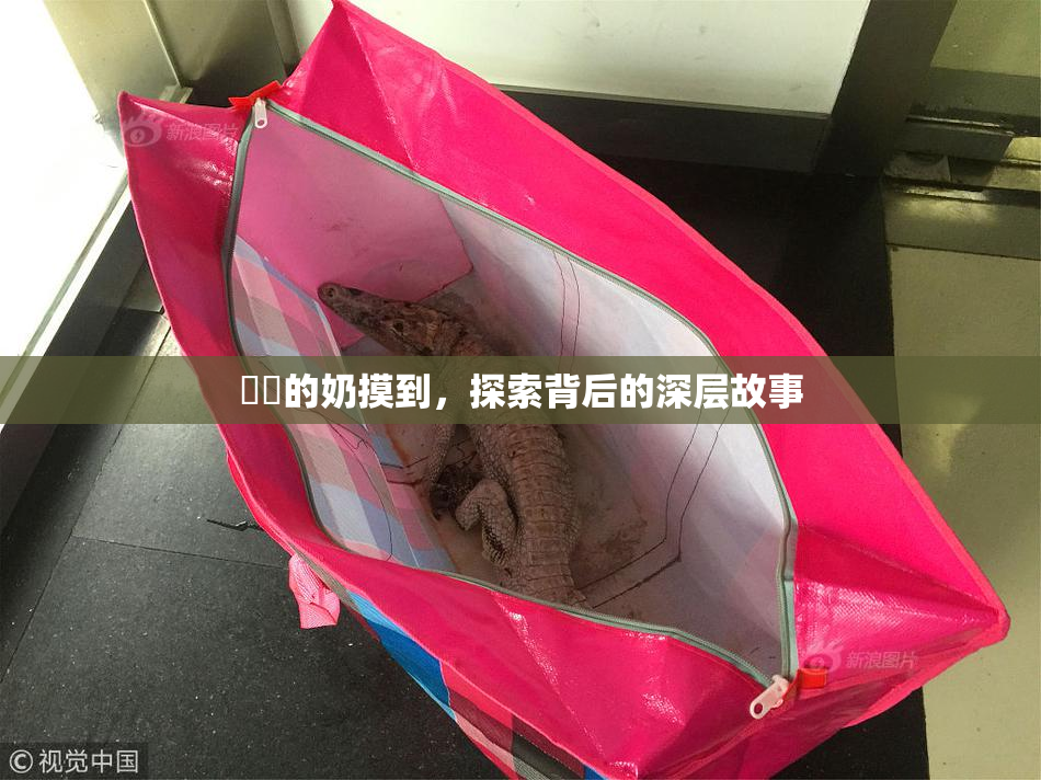 妺妺的奶摸到，探索背后的深层故事