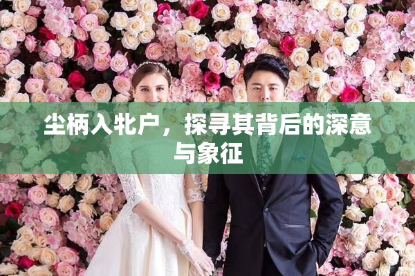 尘柄入牝户，探寻其背后的深意与象征
