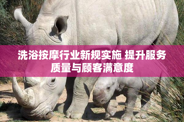 洗浴按摩行业新规实施 提升服务质量与顾客满意度