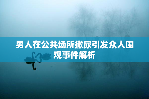 男人在公共场所撒尿引发众人围观事件解析