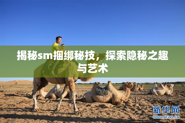 揭秘sm捆绑秘技，探索隐秘之趣与艺术
