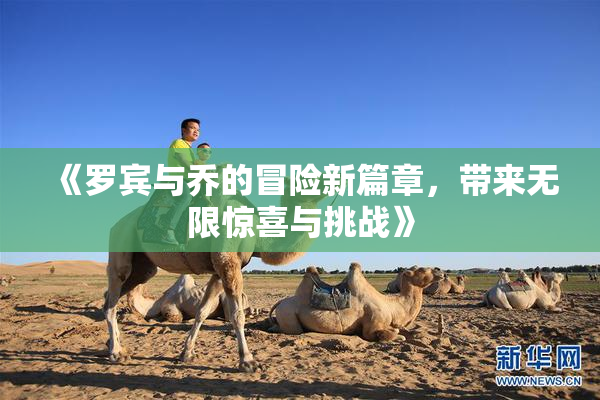 《罗宾与乔的冒险新篇章，带来无限惊喜与挑战》