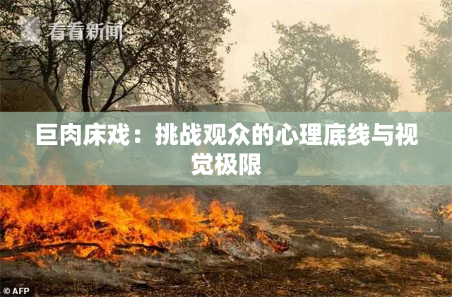 巨肉床戏：挑战观众的心理底线与视觉极限