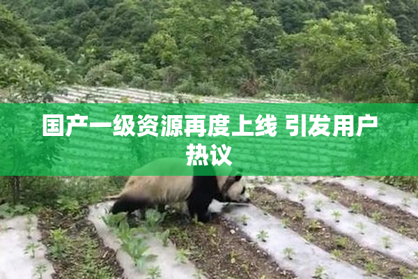 国产一级资源再度上线 引发用户热议