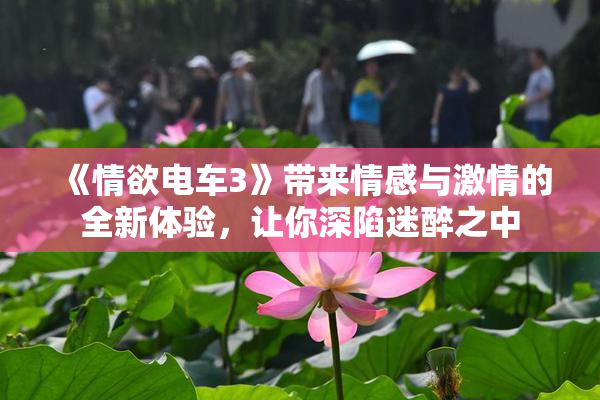 《情欲电车3》带来情感与激情的全新体验，让你深陷迷醉之中