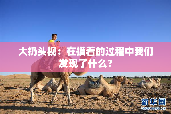 大扔头视：在摸着的过程中我们发现了什么？