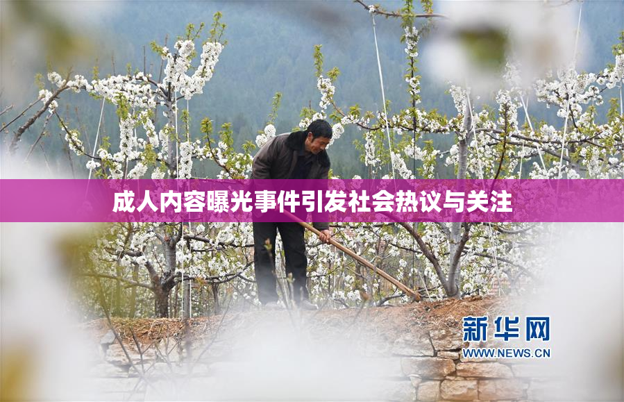 成人内容曝光事件引发社会热议与关注