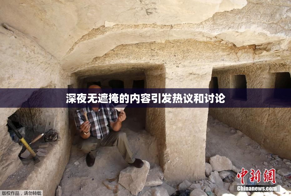 深夜无遮掩的内容引发热议和讨论