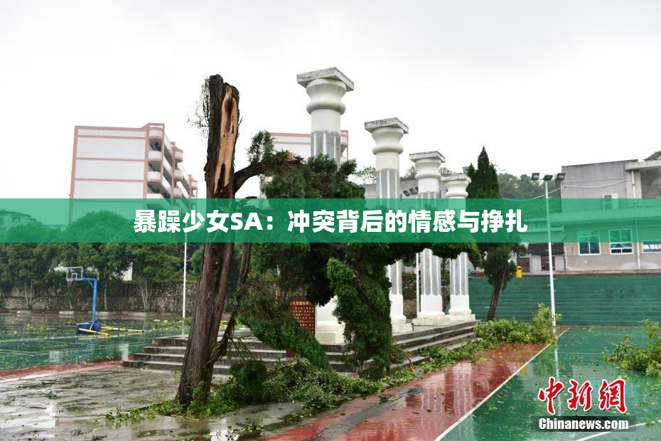 暴躁少女SA：冲突背后的情感与挣扎