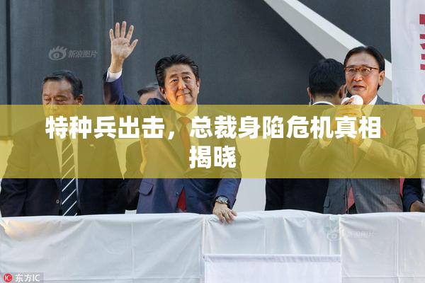 特种兵出击，总裁身陷危机真相揭晓