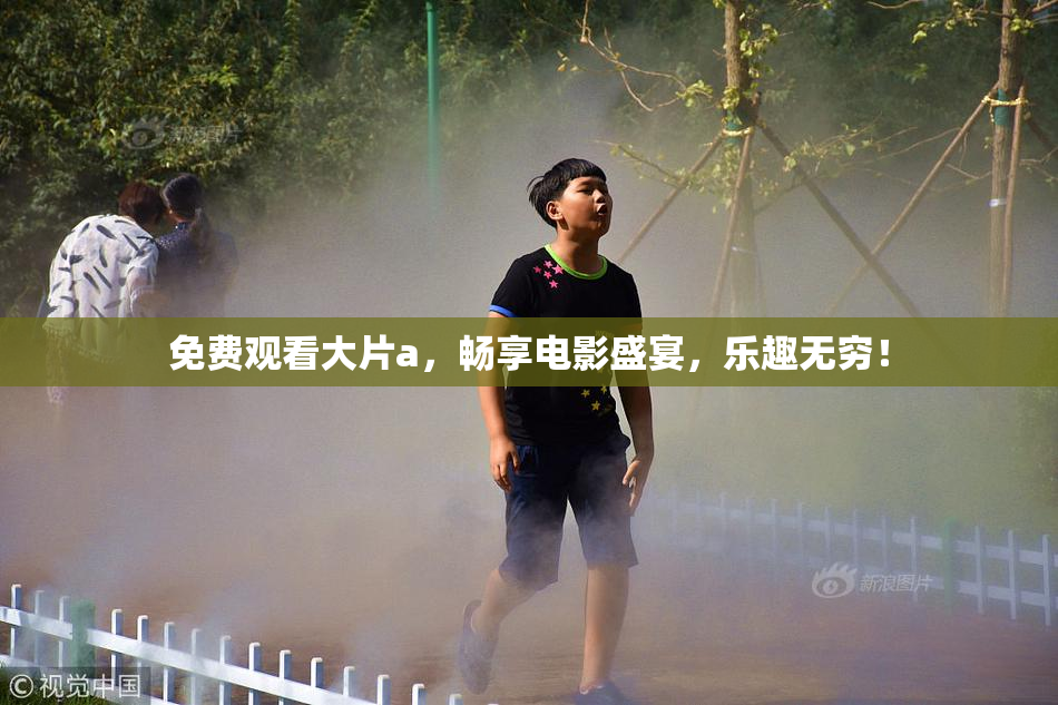 免费观看大片a，畅享电影盛宴，乐趣无穷！