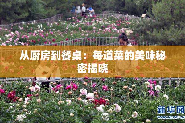 从厨房到餐桌：每道菜的美味秘密揭晓