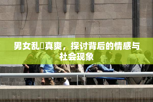 男女乱婬真爽，探讨背后的情感与社会现象