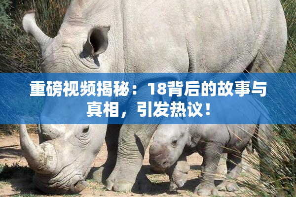 重磅视频揭秘：18背后的故事与真相，引发热议！