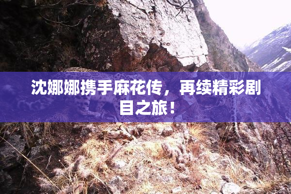 沈娜娜携手麻花传，再续精彩剧目之旅！