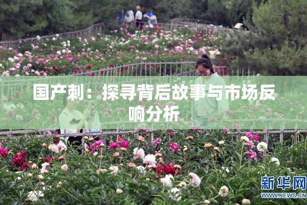 国产刺：探寻背后故事与市场反响分析