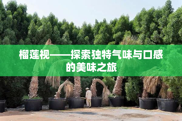 榴莲视——探索独特气味与口感的美味之旅
