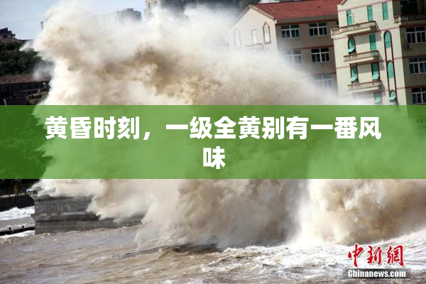 黄昏时刻，一级全黄别有一番风味